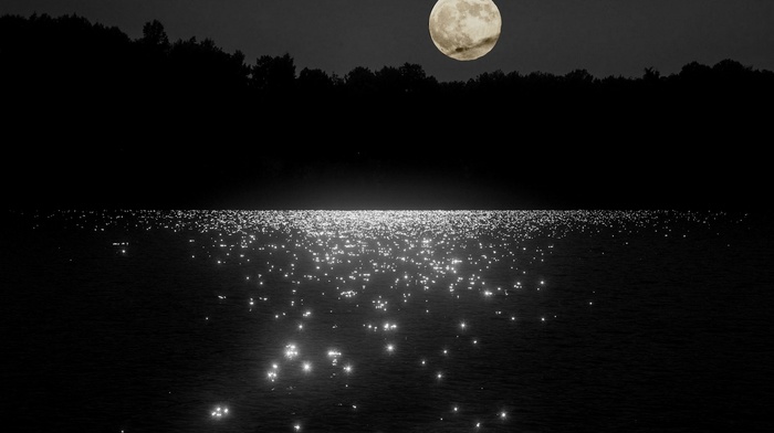 water, moonlight, night