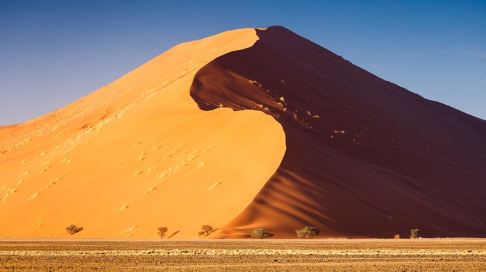 sand, desert, dune, landscape