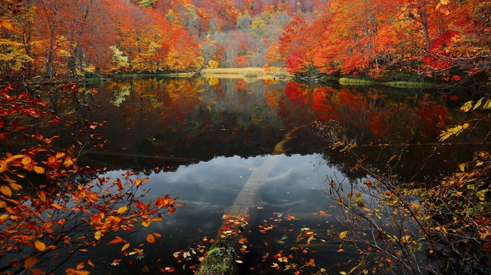 lake, reflection, nature, water