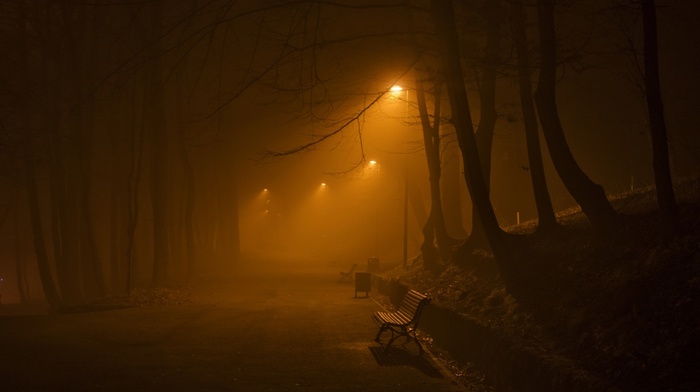 night, park, bench