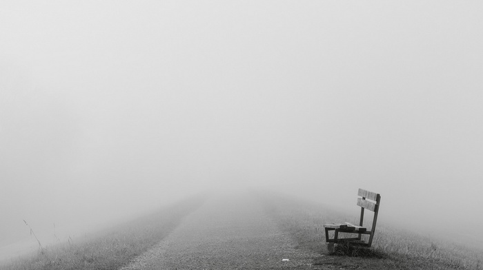 mist, bench, path