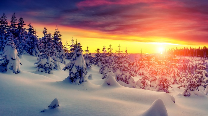 sunset, snow, landscape, trees