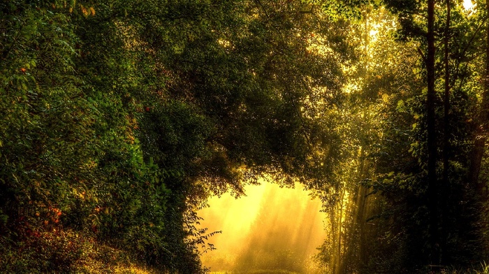 nature