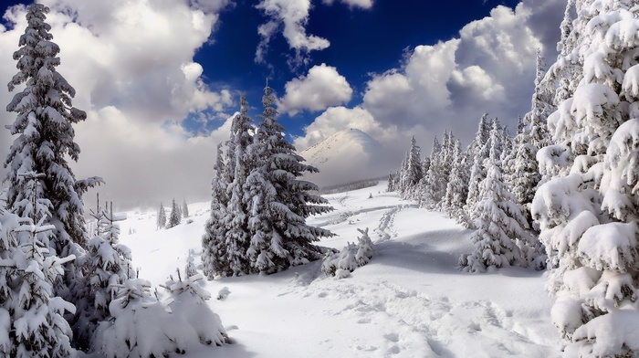 nature
