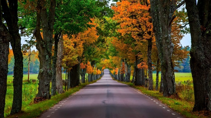 nature