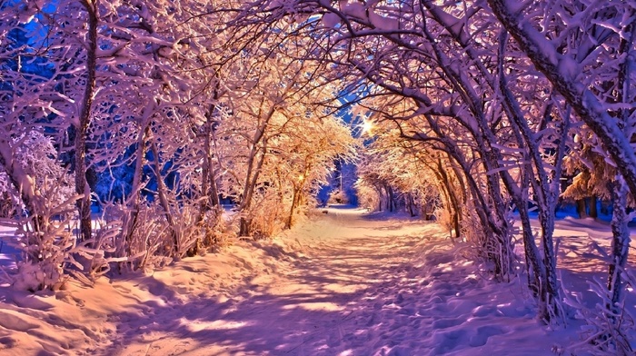 landscape, winter, nature