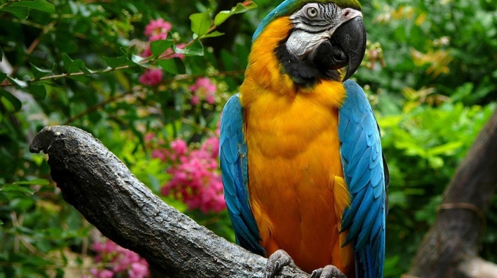 nature
