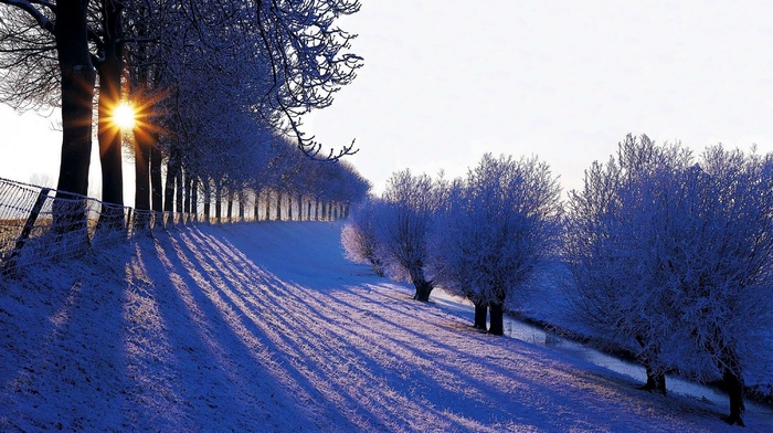 nature
