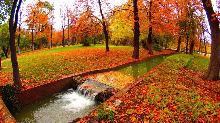 fall, nature