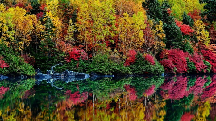 nature
