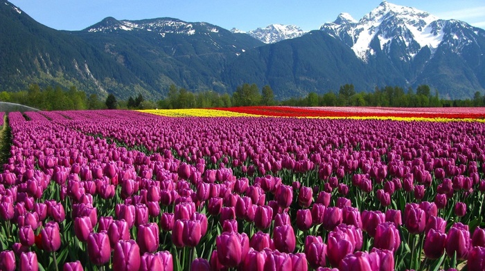 nature