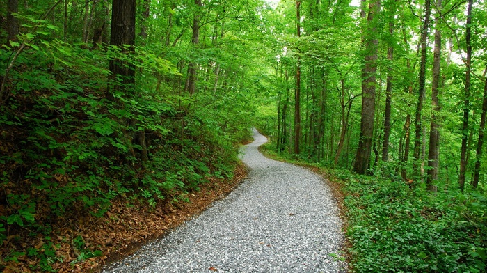 nature