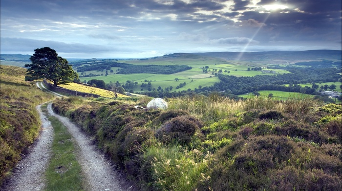 nature, landscape