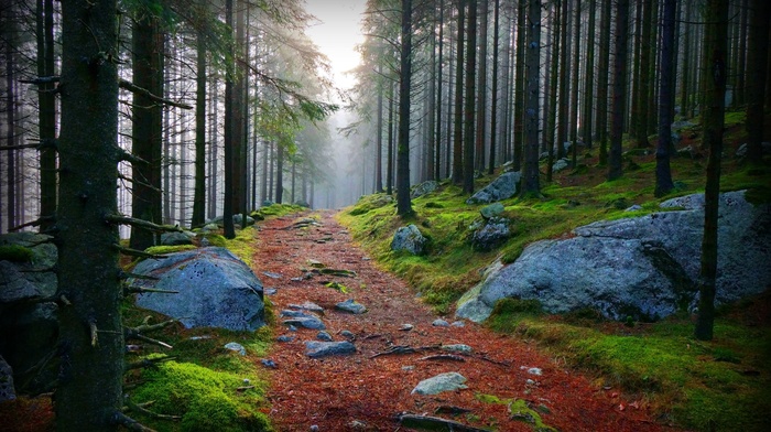 nature