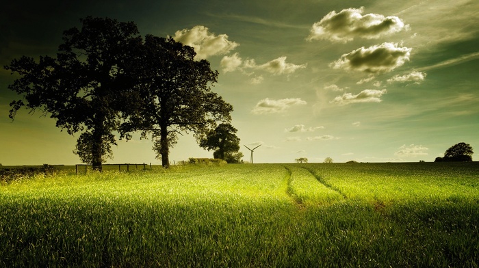 nature