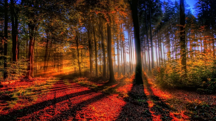 nature