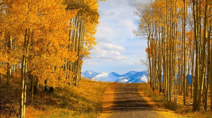 nature