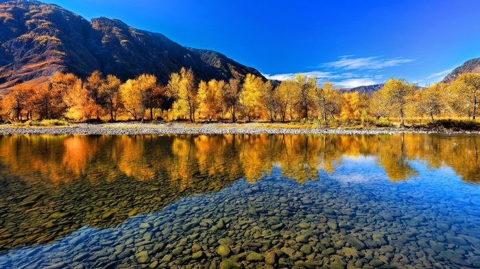 nature