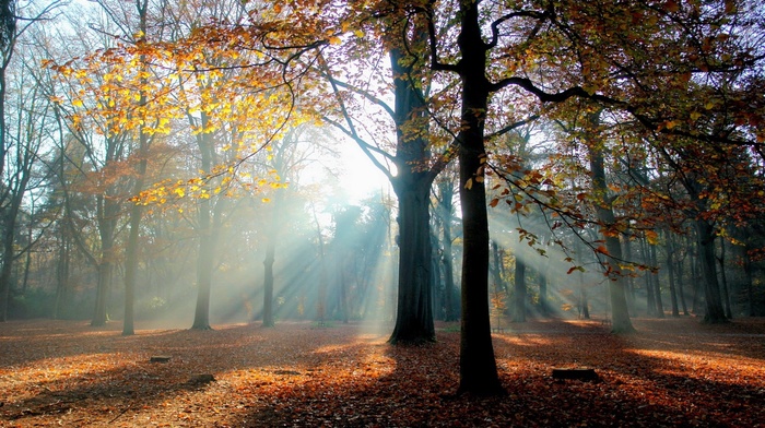 nature