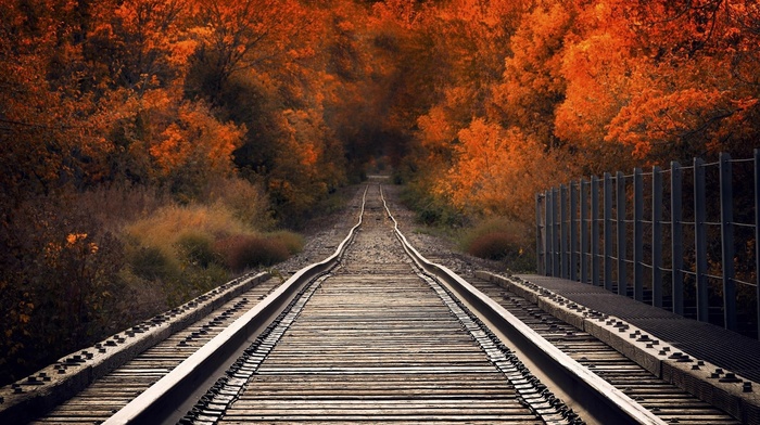 railway, nature