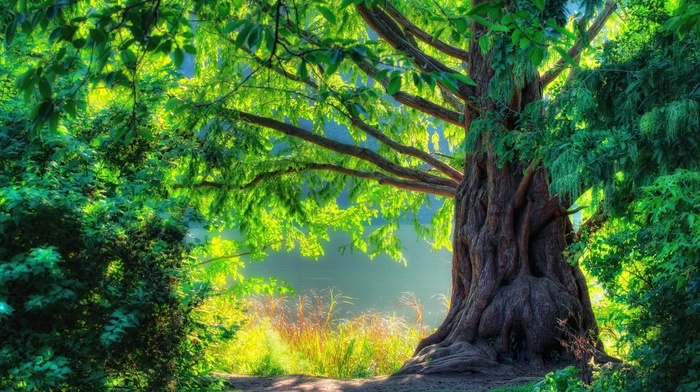 nature