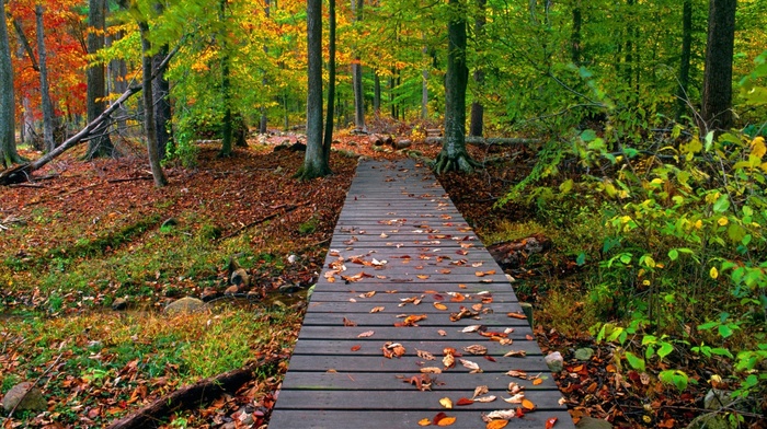 nature