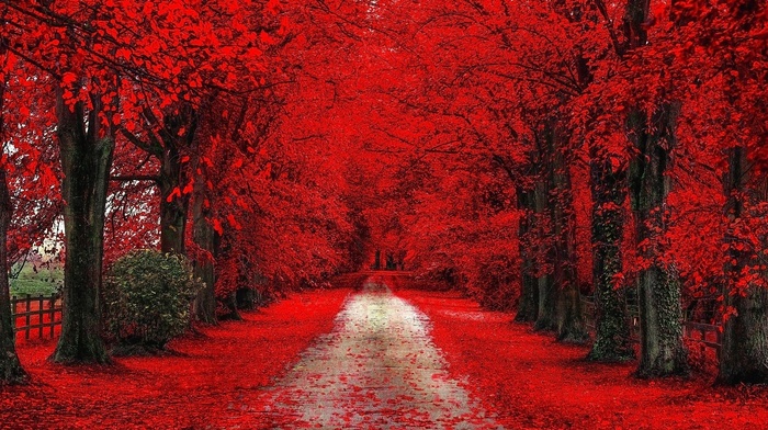 nature