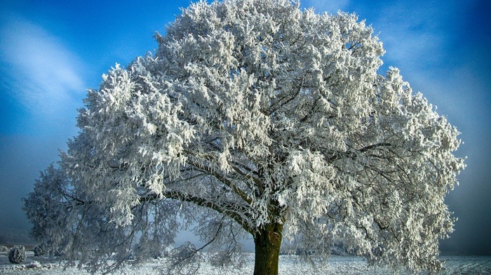 nature