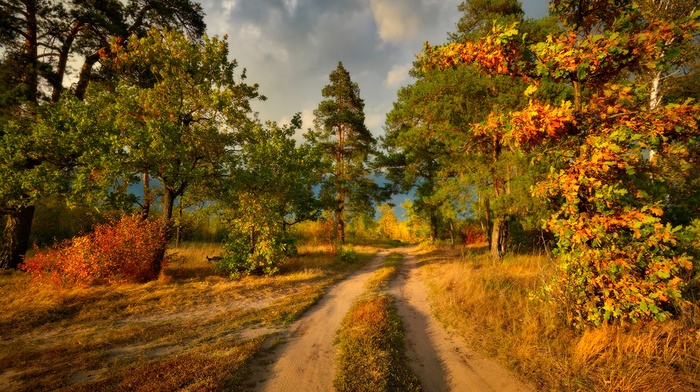nature