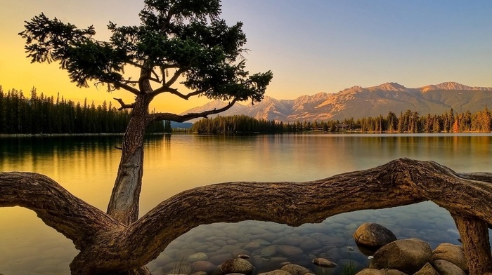 nature