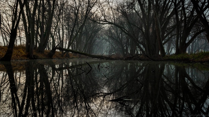 nature