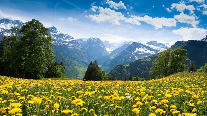 nature