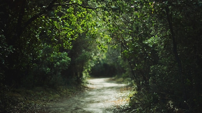 nature