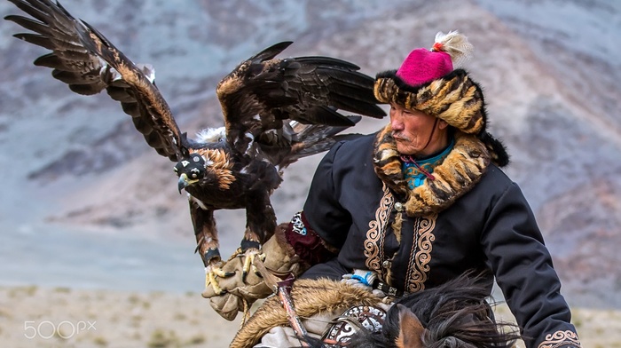 nature, eagle, Mongolian