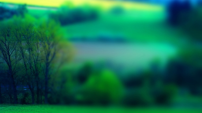 nature