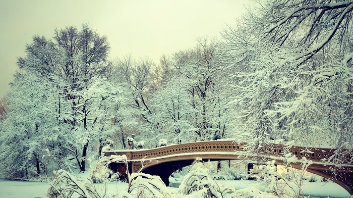 snow, winter, bridge