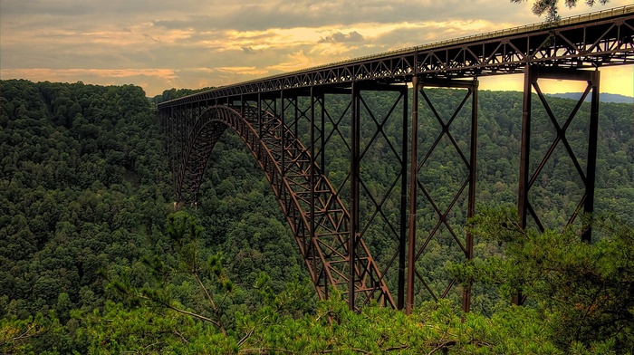 landscape, forest, bridge