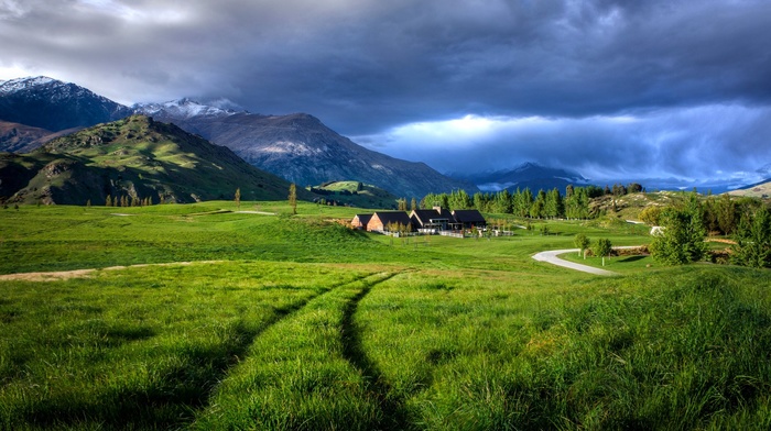 nature, road