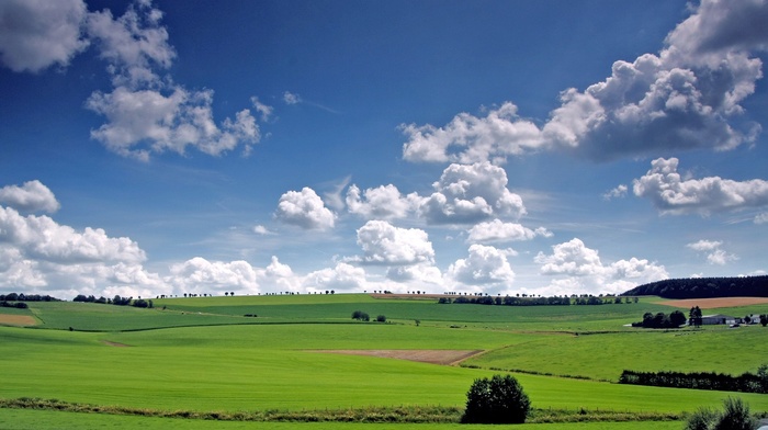 nature
