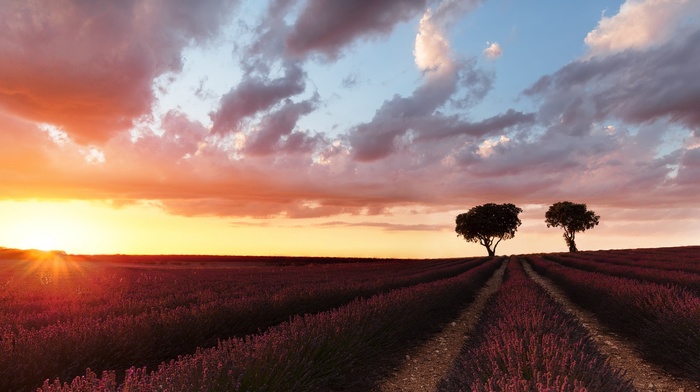 nature