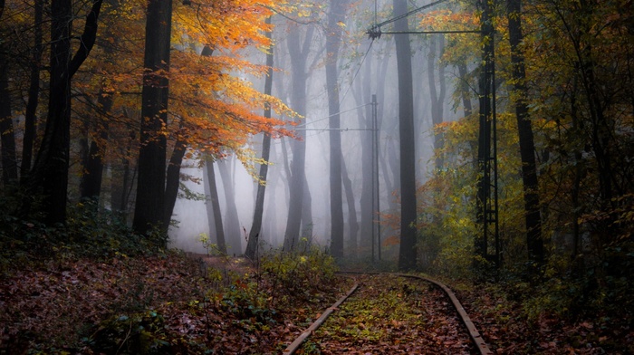 nature