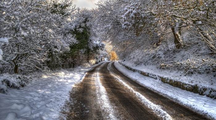 nature, road