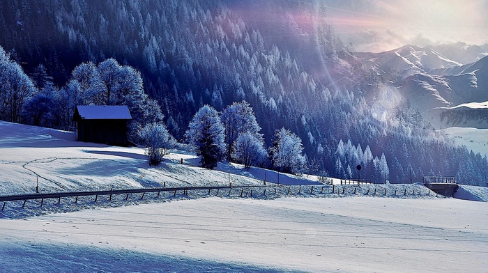 nature