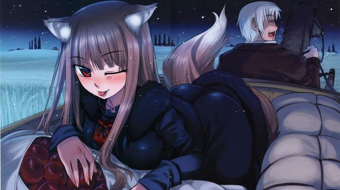 Lawrence Kraft, Spice and Wolf, Holo, anime, anime girls