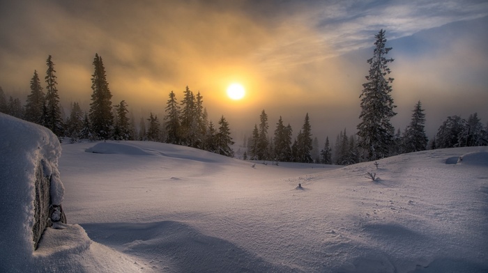 snow, cold, Norway, forest, pine trees, landscape, clouds, Sun, mist, frost, nature, winter