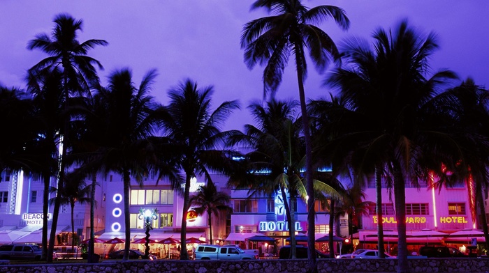 palm trees, evening, neon, beach, Grand Theft Auto Vice City, hotels