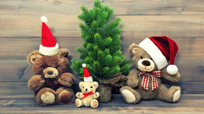 teddy bears, fir, Christmas