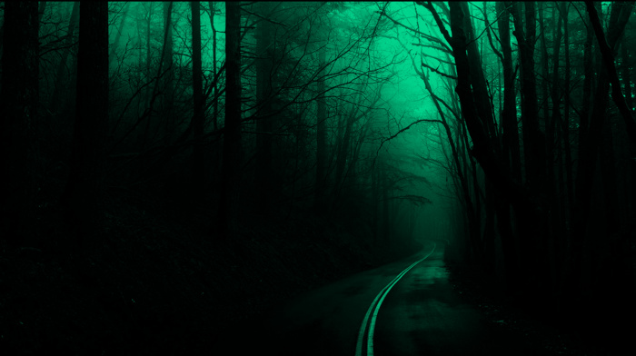 road, forest, spooky, dark, nature, trees