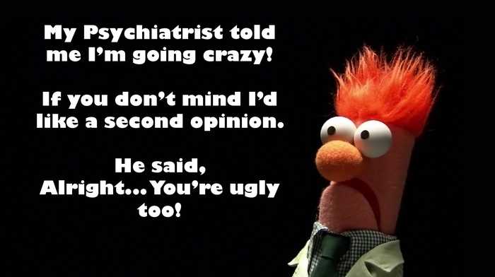 humor, The Muppets, quote
