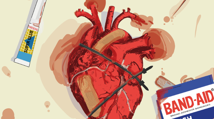 hearts, anatomy
